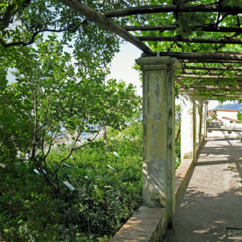 Orto botanico Giardino della Minerva